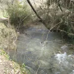 rio majaceite