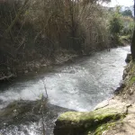 rio majaceite