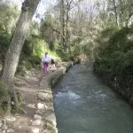 sendero junto al rio