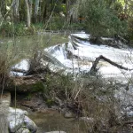 rio majaceite