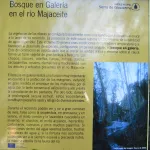 cartel explicativo