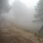 niebla en el sendero