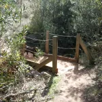 puente en el sendero