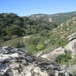 vistas del rio