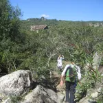 el camino es agradable