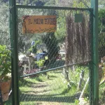 molino esquivel