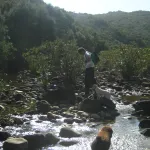 investigacion por las orillas del rio