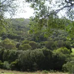 bonita vista del lugar