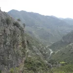 buitre en el cañon