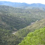 el valle del hozgarganta