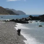 CALA DEL PINO NERJA