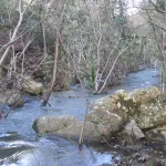 rio de la miel