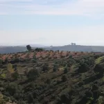 Montoro