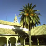 Torre de la Catedral desde el Palacio de Congresos de Córdoba
