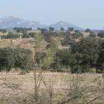 Ruta de Belalcázar a la Colada