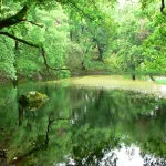 LUGAR SECRETO