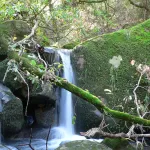 ARROYO