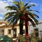 Cruz de Mayo Plaza de la Lagunilla