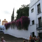 Cuesta del Bailío