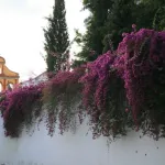 Cuesta del Bailío