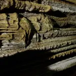 Cuevas de Nerja