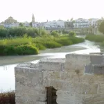 Vista Mezquita desde El Arenal