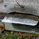 Panal de abejas