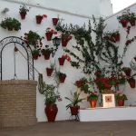 Cruz de Mayo C/ Escañuela