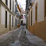 Concurso de Partios Cordobeses 2008