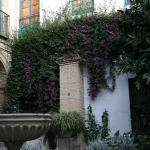 Palacio de Viana