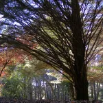 Otoño en la Sierra Norte