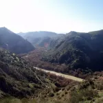 Jauja
