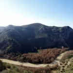 Jauja