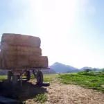 Jauja