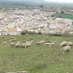 CIMG0136