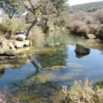 RUTA RIO CAMPOBUCHE, GRAZALEMA