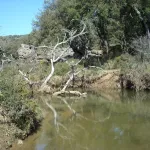 RUTA RIO CAMPOBUCHE, GRAZALEMA