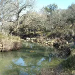 RUTA RIO CAMPOBUCHE, GRAZALEMA