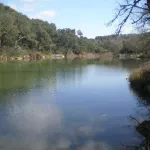 RUTA RIO CAMPOBUCHE, GRAZALEMA