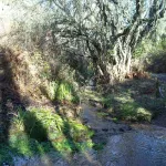 sierra de aracena sendero valdelarco galaroza