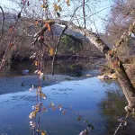 parque natural sierra de andújar lugar nuevo z. recreativa la recta