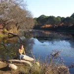 embalse del jandula sierra de andújar