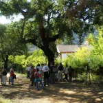 La Armada  Rivera de Ciudaleja