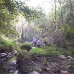 Rivera de la Monuleta Arroyo Quejigo y los Chorreros