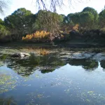 Parque Natural Presa del Jandula Adujar Jaen