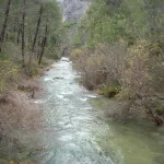 rio borosa s. cazorla