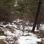 DSCN1583