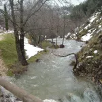DSCN1601