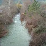 DSCN1667