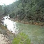 DSCN1677
